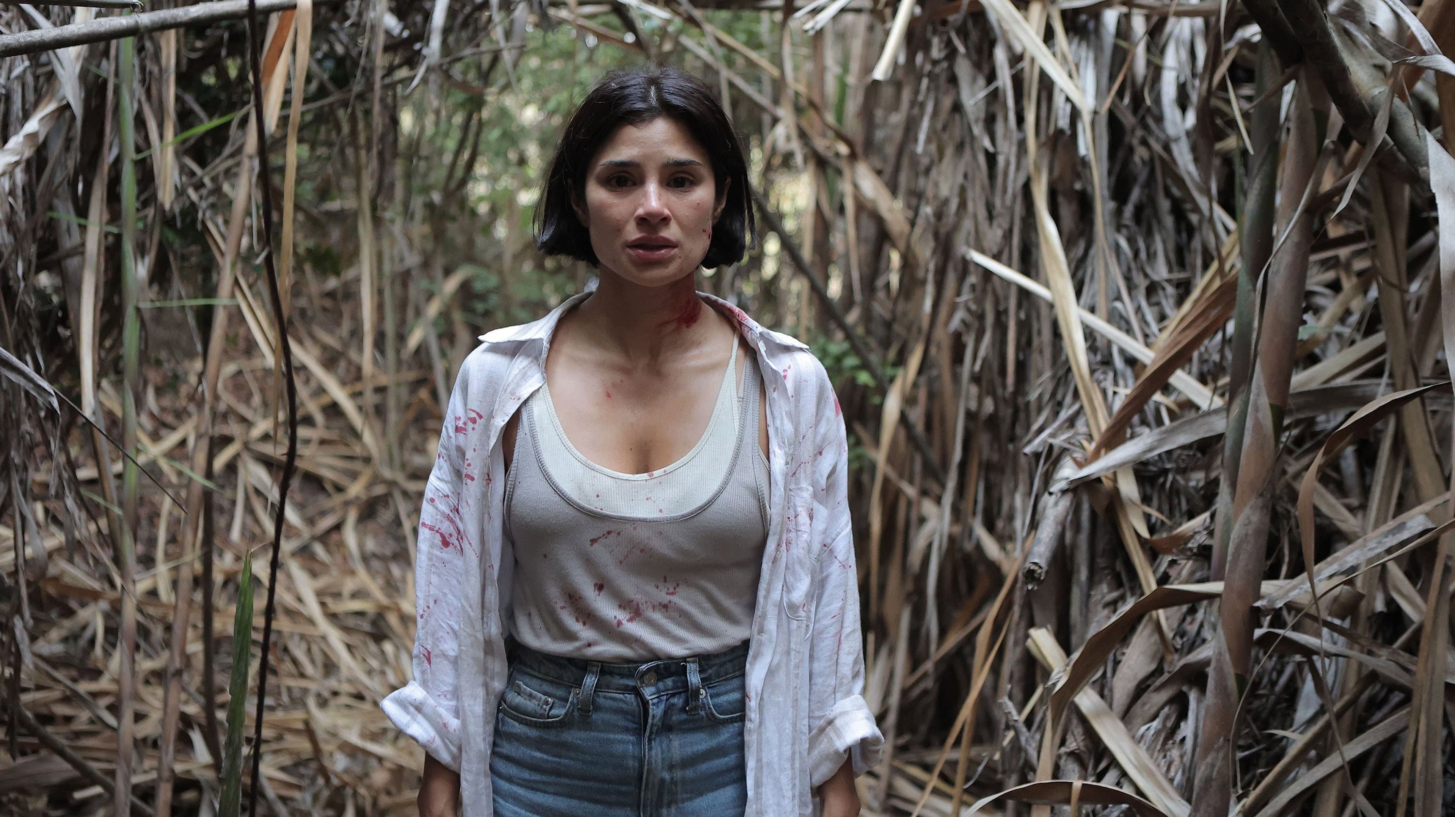 The Whistler (2026): Velasco's Horror Flop Explained