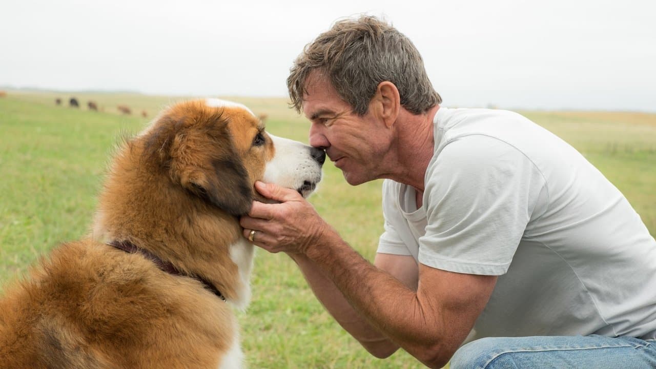 A Dog's Purpose still 6