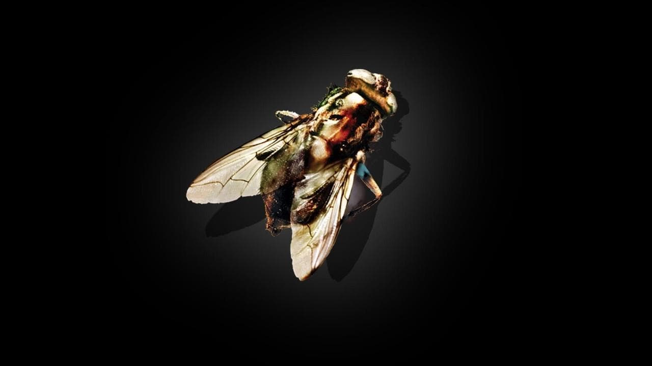 The Fly still 6