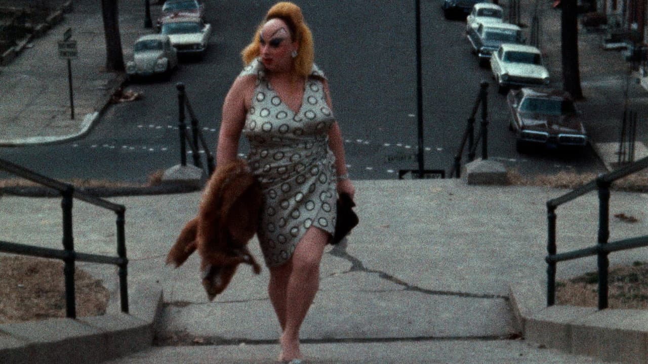 Pink Flamingos still 7