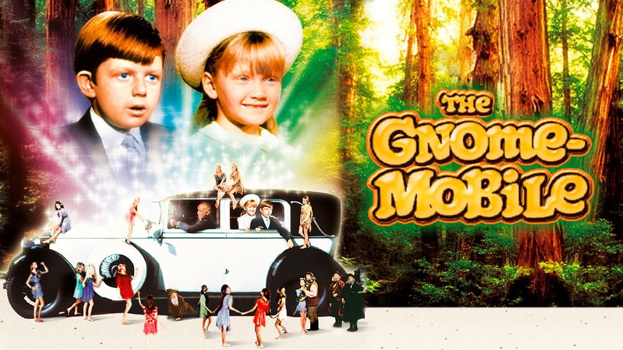 The Gnome-Mobile still 6