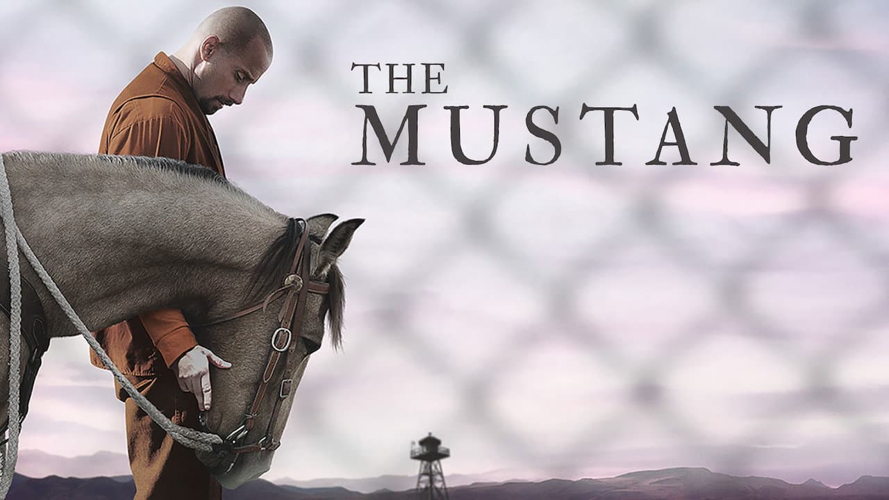 The Mustang still 3