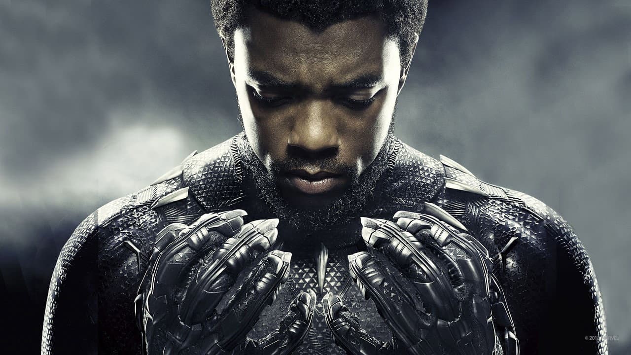 Black Panther still 8
