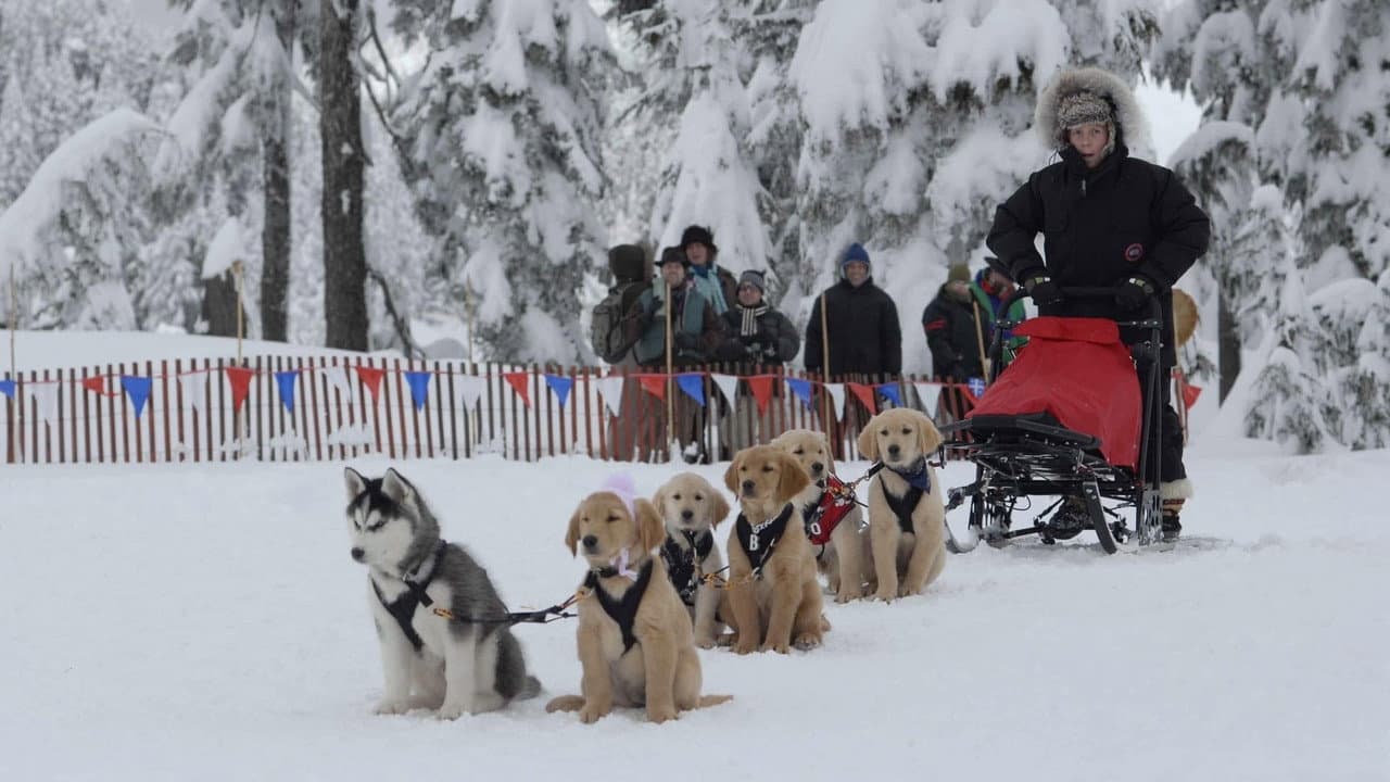 Snow Buddies still 8