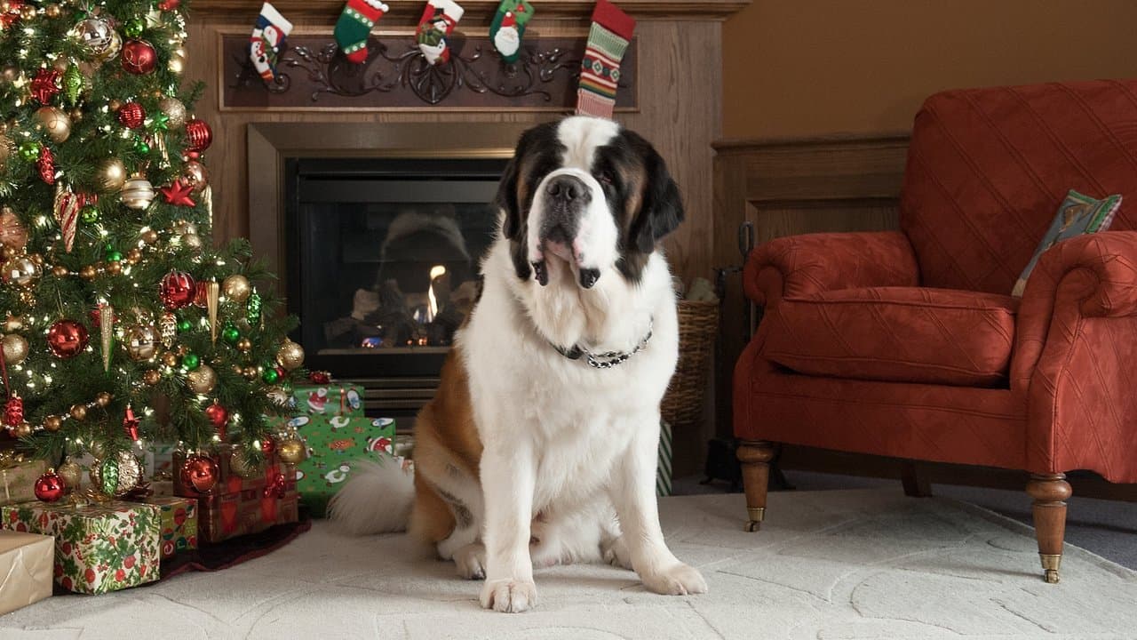 Beethoven's Christmas Adventure still 1