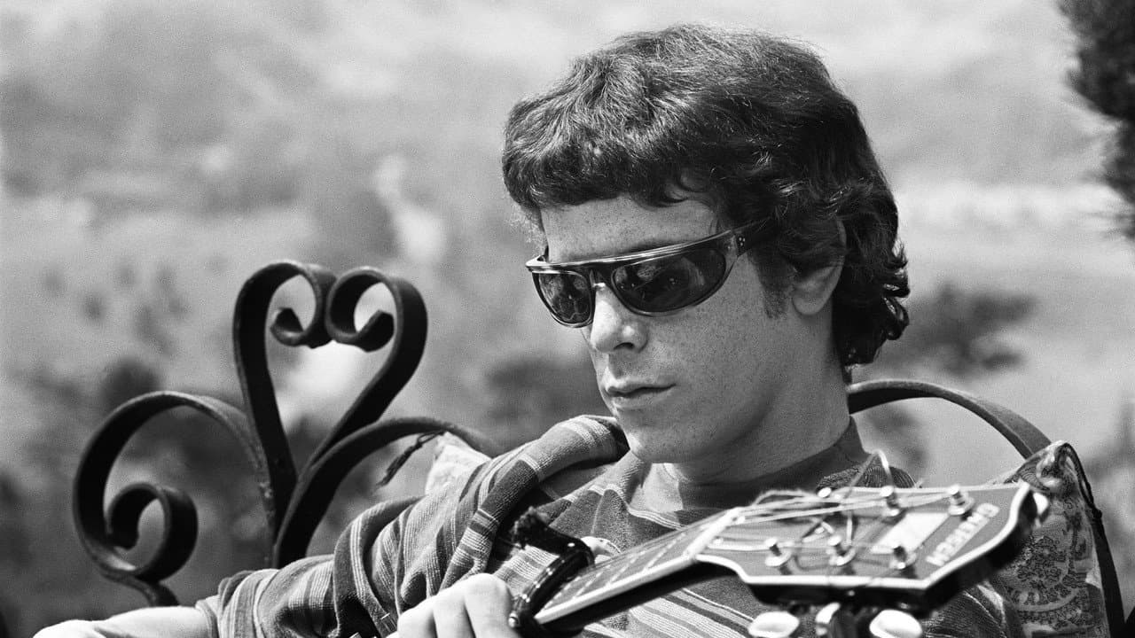 The Velvet Underground still 4