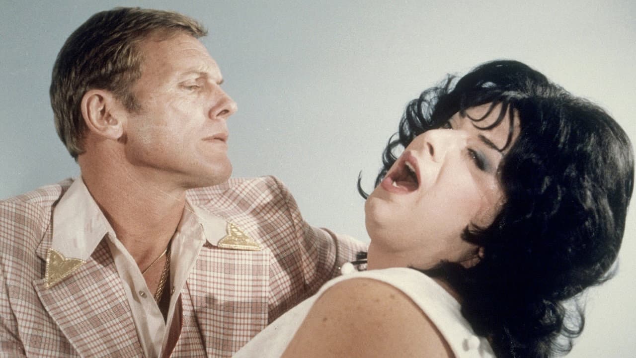 Polyester still 4