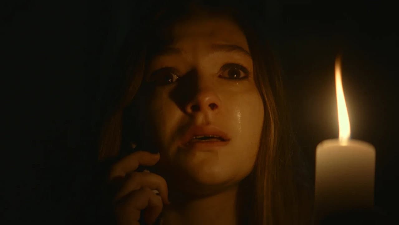 The Cellar still 5