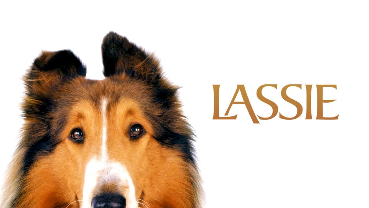 Lassie still 5