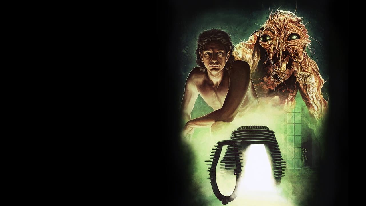 The Fly still 1