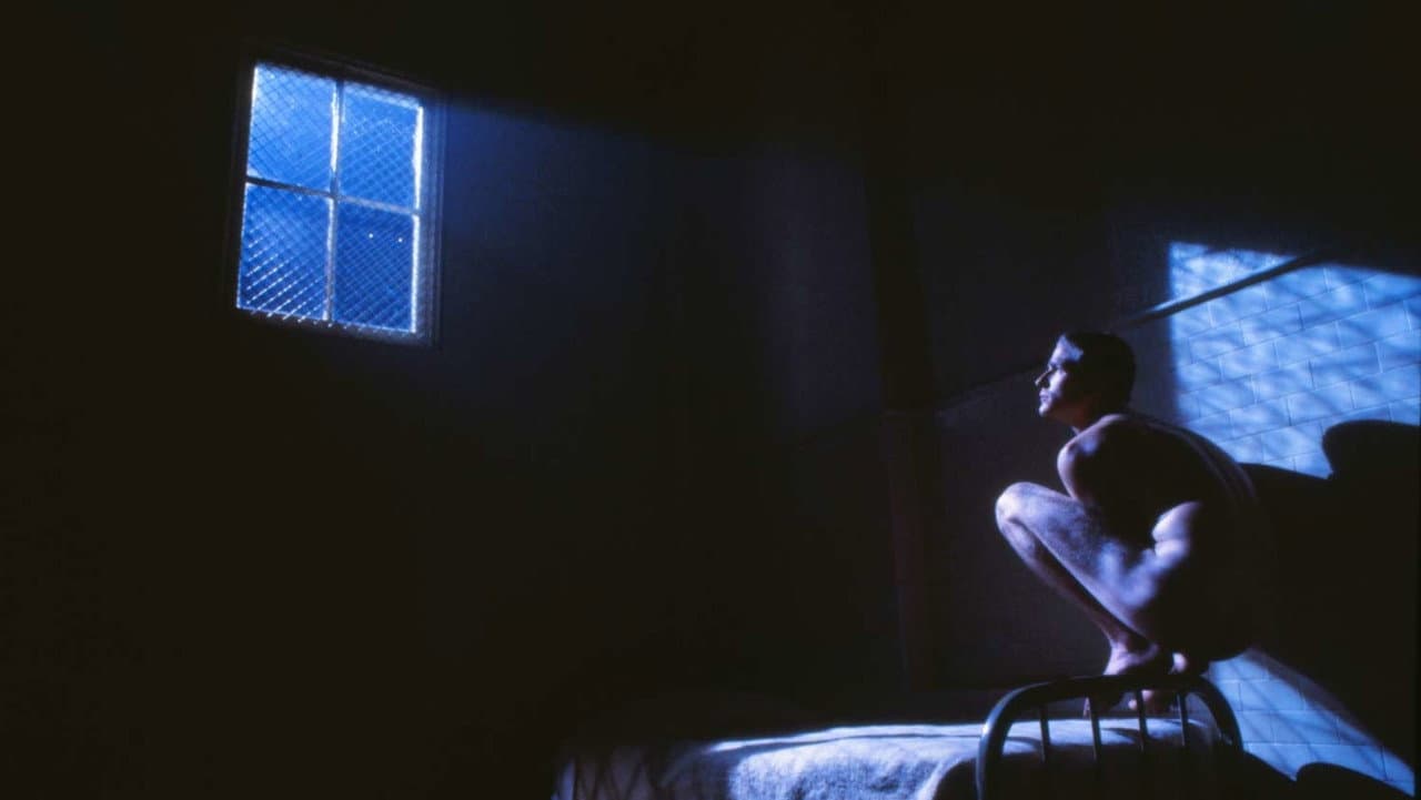 Birdy still 8