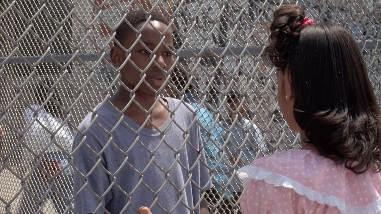 Fresh still 2