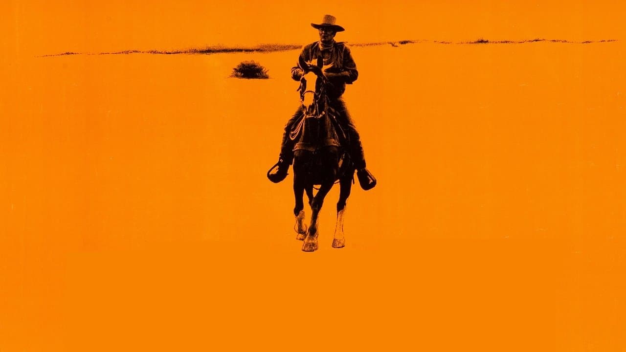 Chisum still 2