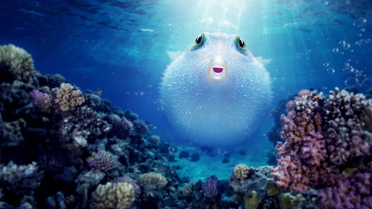 Puff: Wonders of the Reef still 3