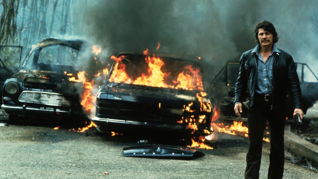 The Mechanic still 5