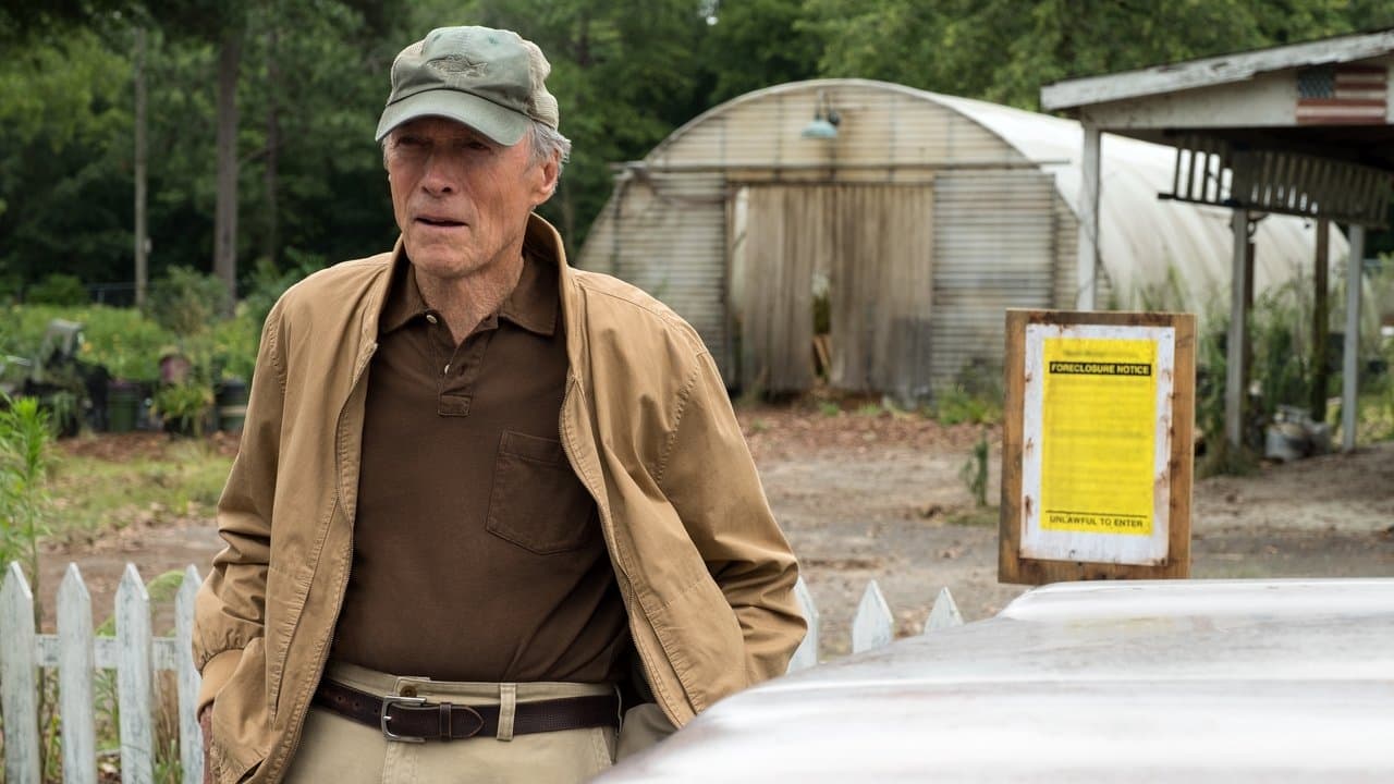 The Mule still 1