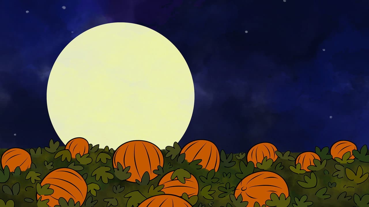 It's the Great Pumpkin, Charlie Brown still 6