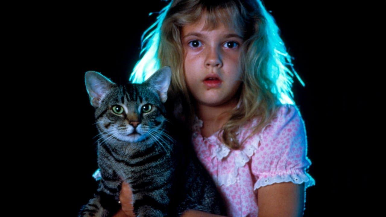 Cat's Eye still 5