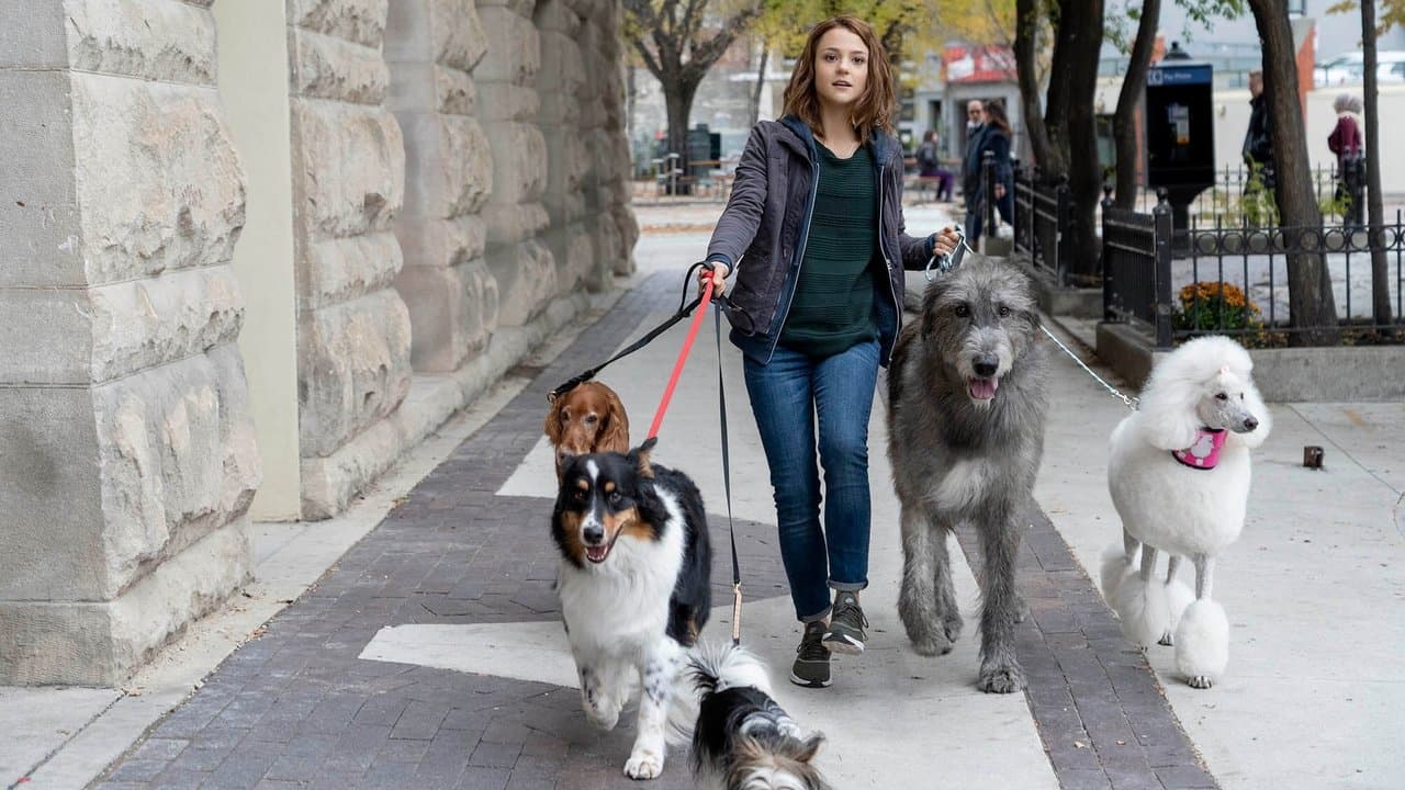 A Dog's Journey still 1