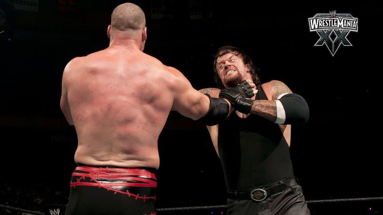 WWE WrestleMania XX still 3