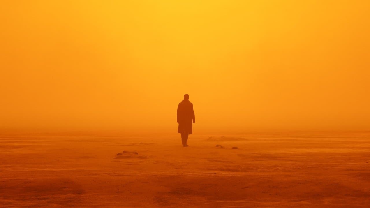 Blade Runner 2049 still 8