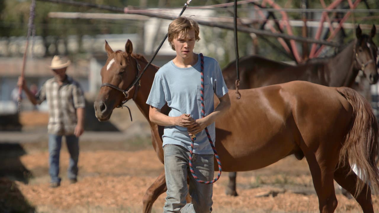 Lean on Pete still 2