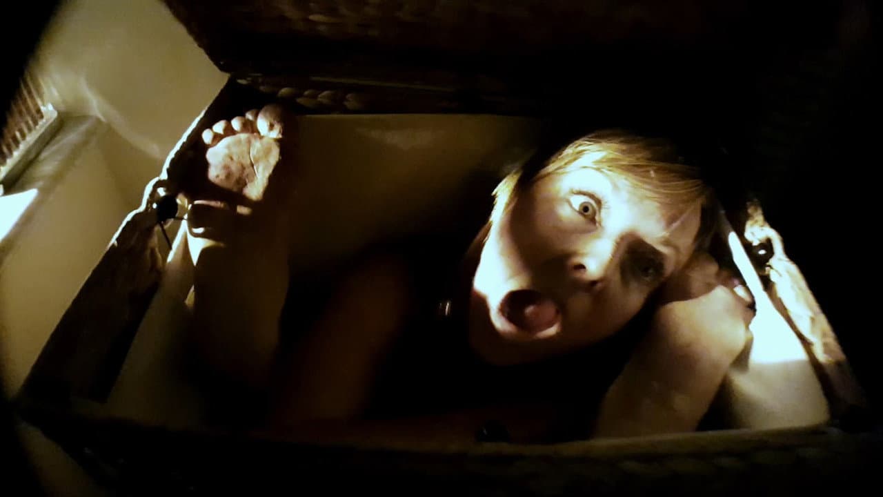 Assimilate still 8