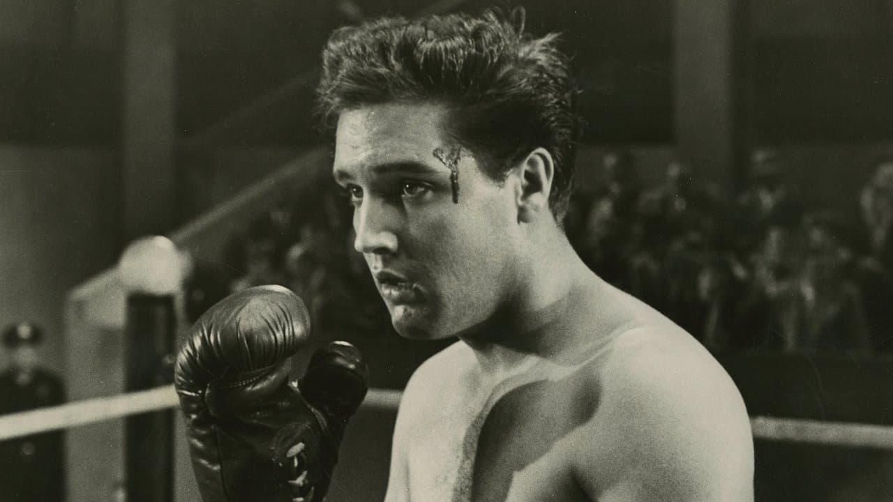 Kid Galahad still 1