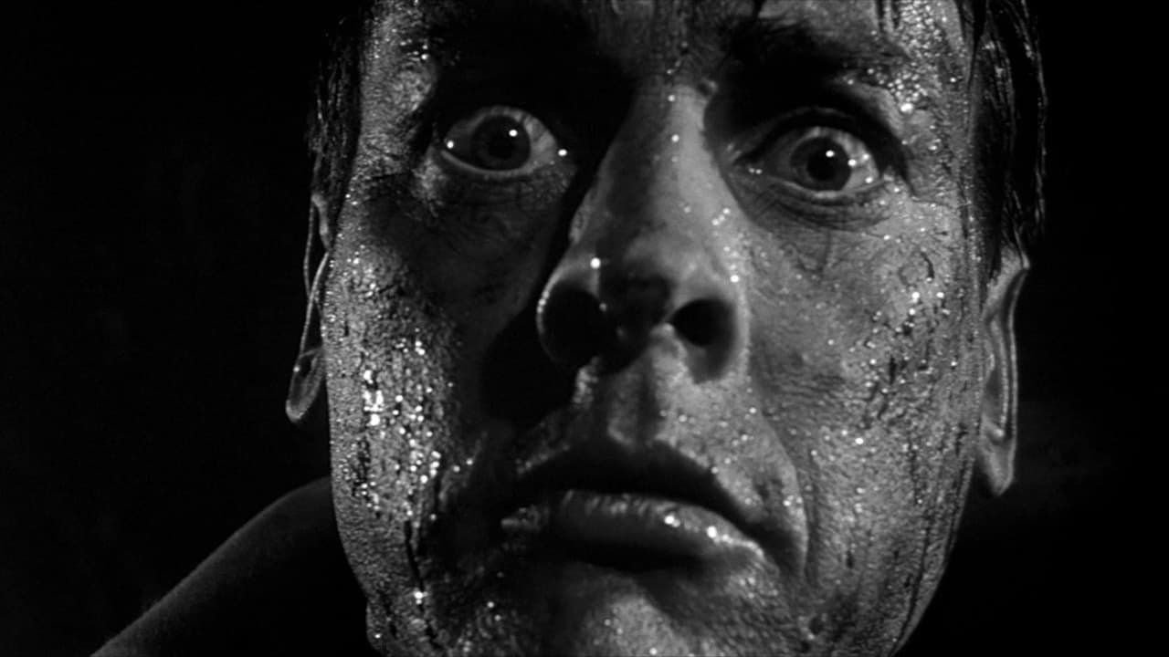 Invasion of the Body Snatchers still 7