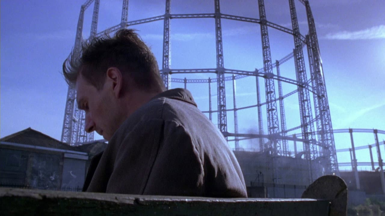 Spider still 8