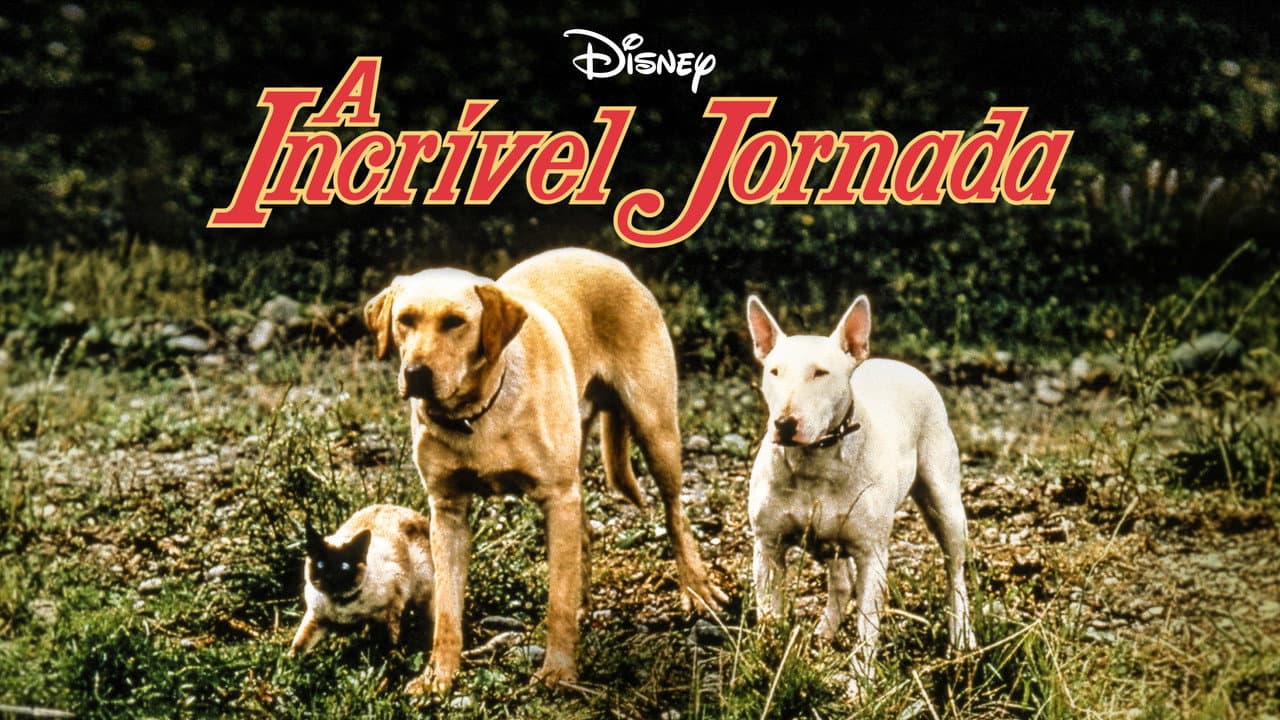 The Incredible Journey still 3