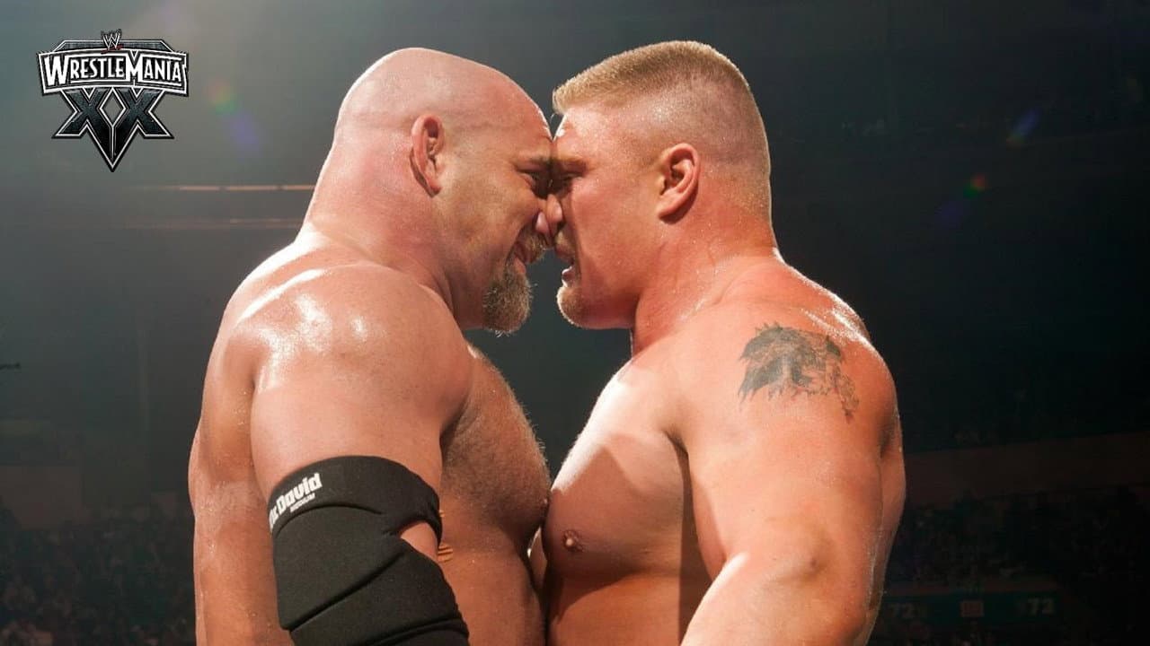 WWE WrestleMania XX still 8