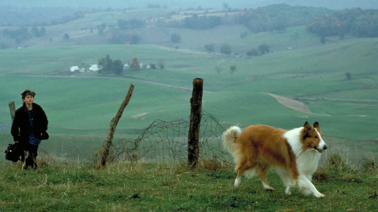 Lassie still 2