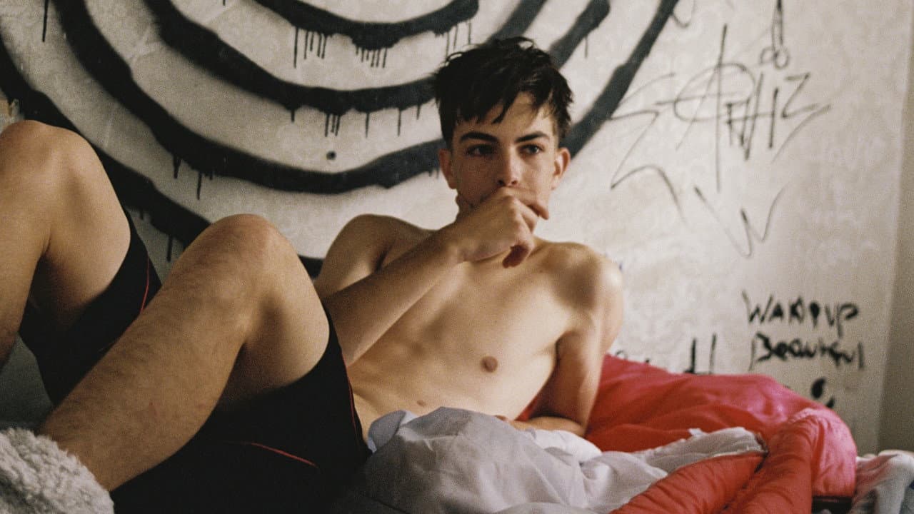 Bird still 5