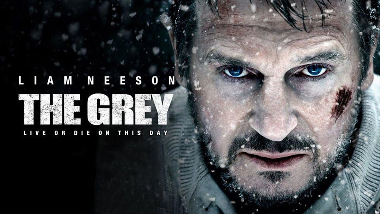 The Grey still 8