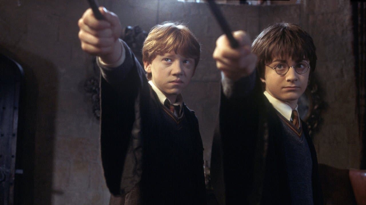 Harry Potter and the Chamber of Secrets still 6