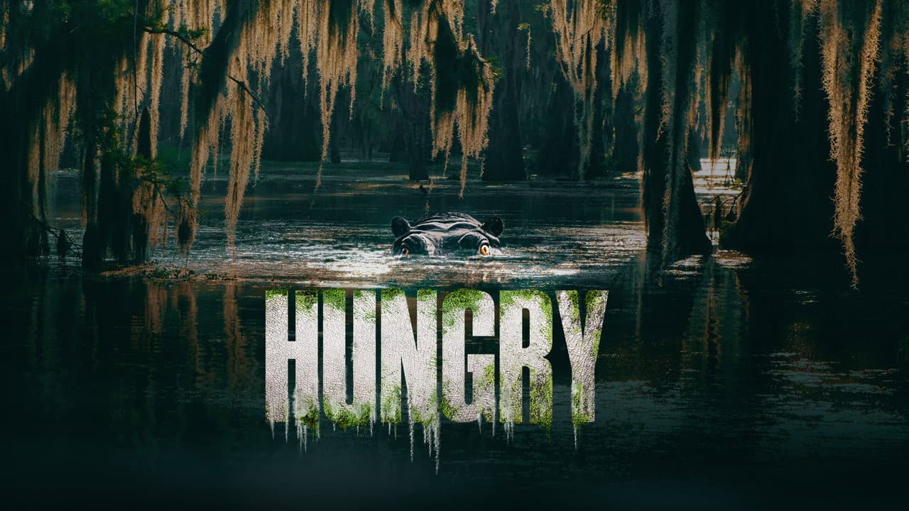Hungry still 1
