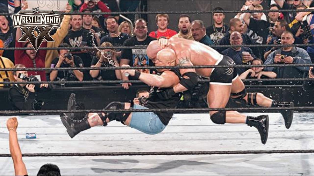 WWE WrestleMania XX still 6