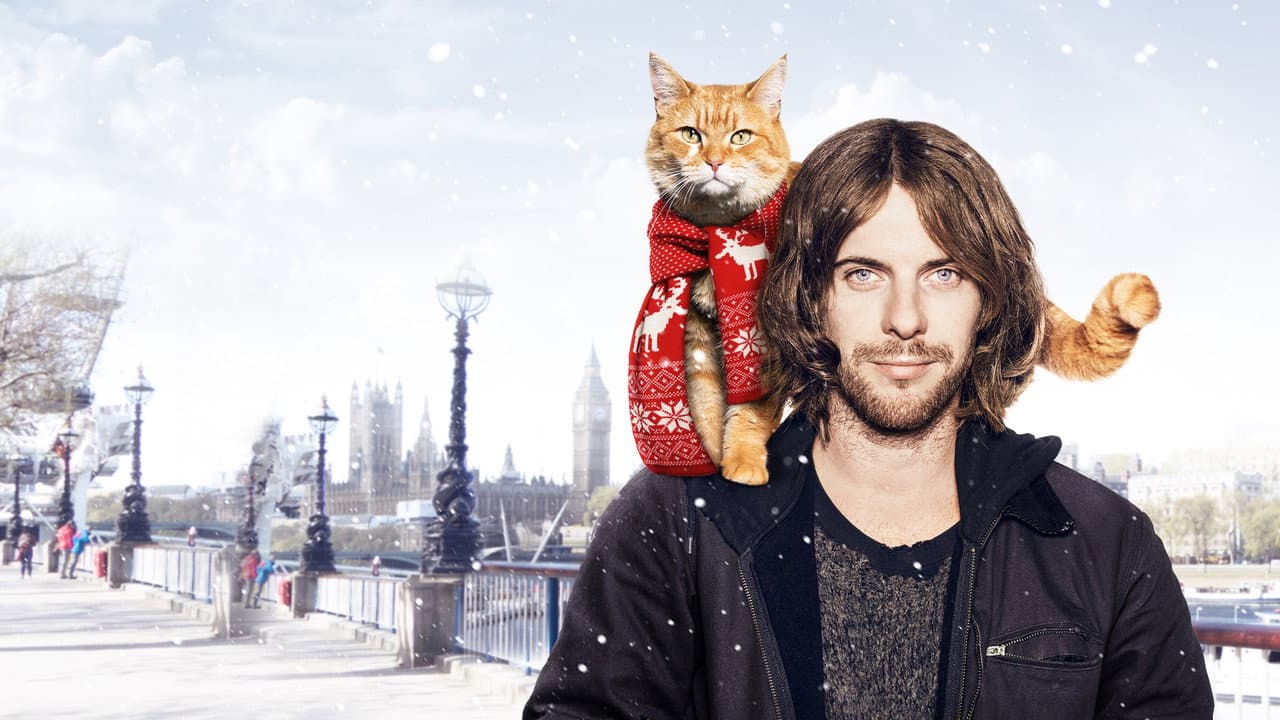 A Street Cat Named Bob still 8
