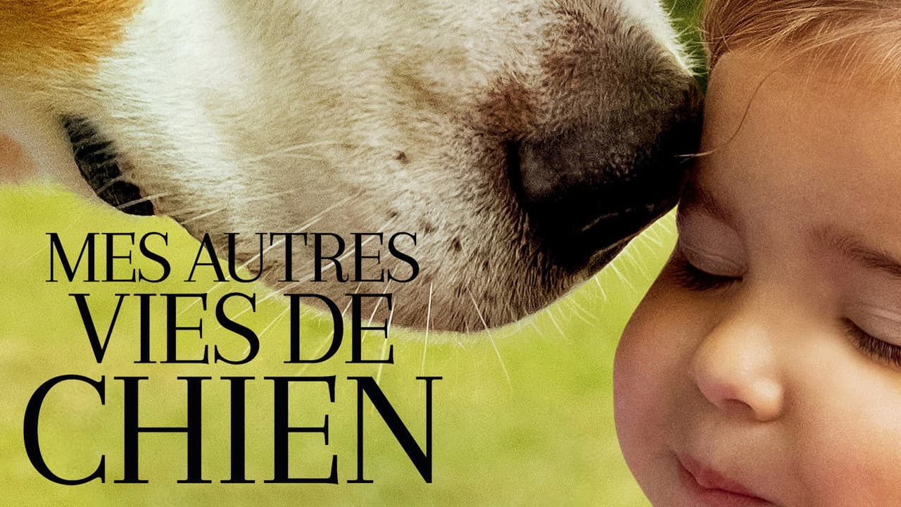 A Dog's Journey still 4