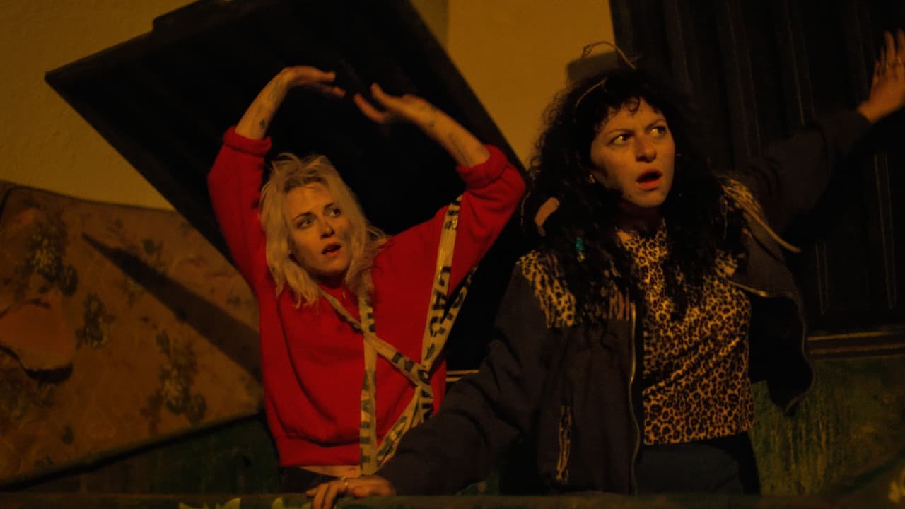 The Wrong Girls Review: Stoner Sci-Fi Crime Oddity
