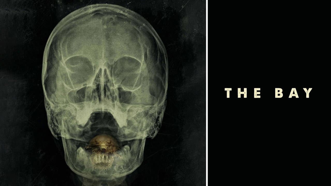 The Bay still 5
