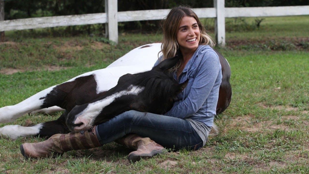 A Sunday Horse still 1