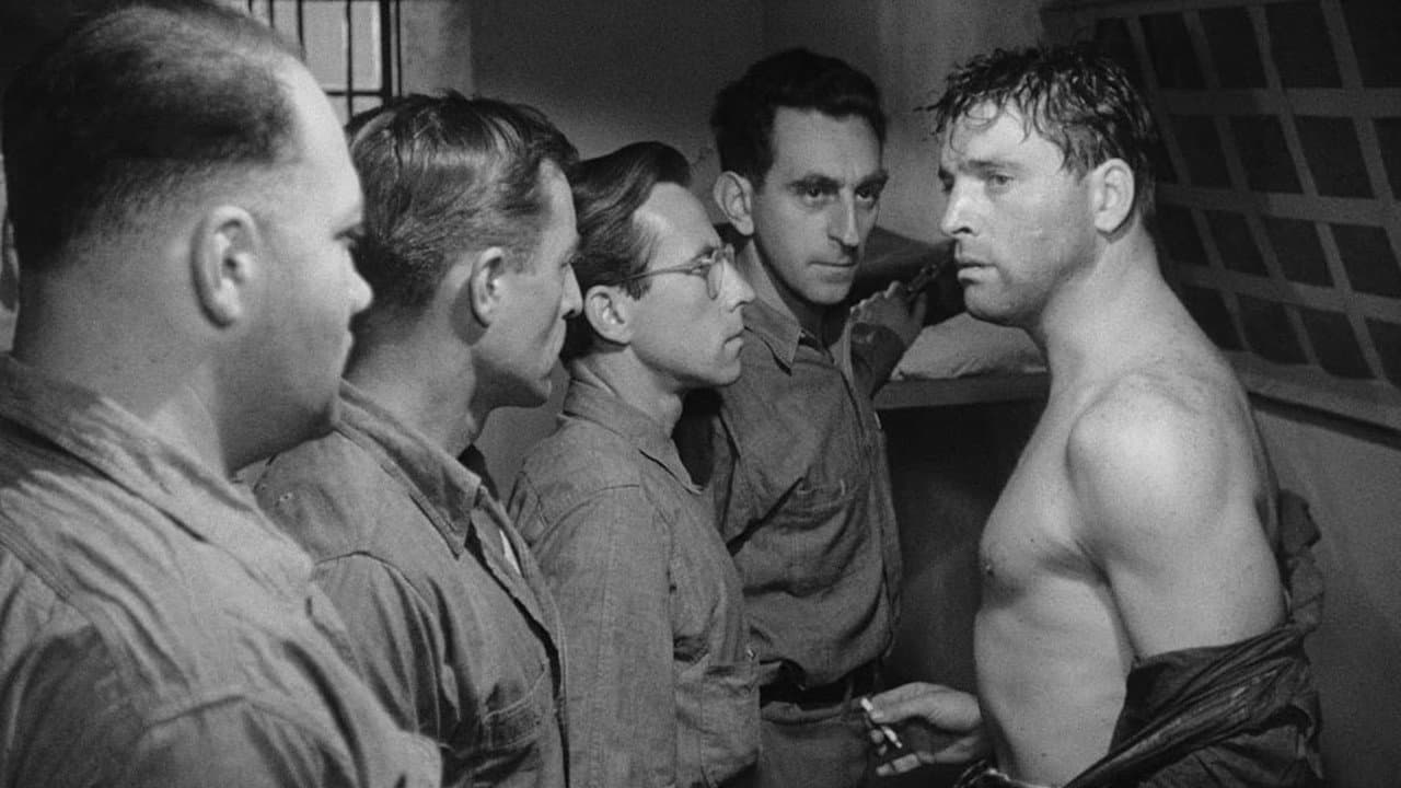 Brute Force still 5