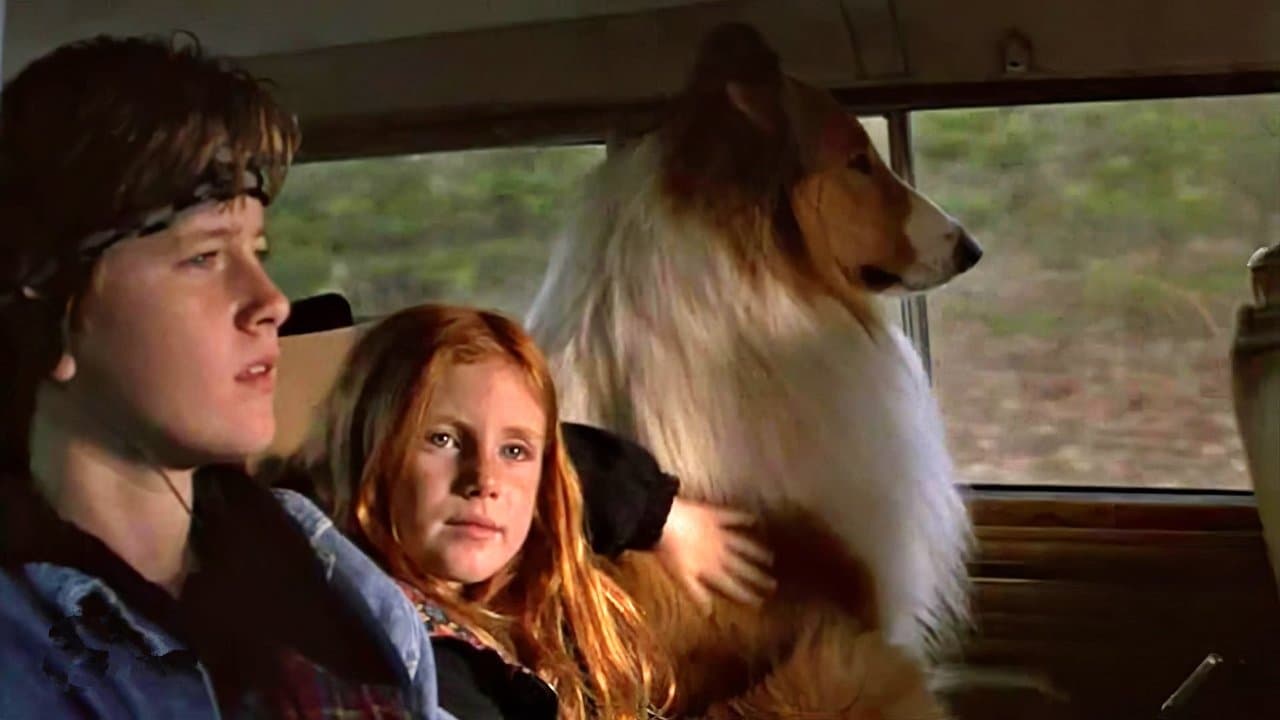 Lassie still 3