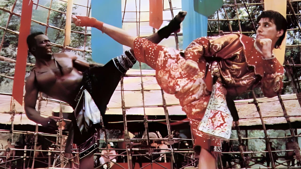 The King of the Kickboxers still 6