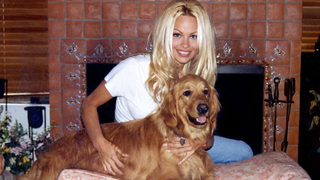 Pamela, A Love Story still 6
