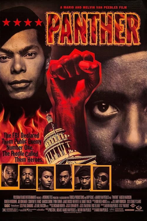Panther still 4