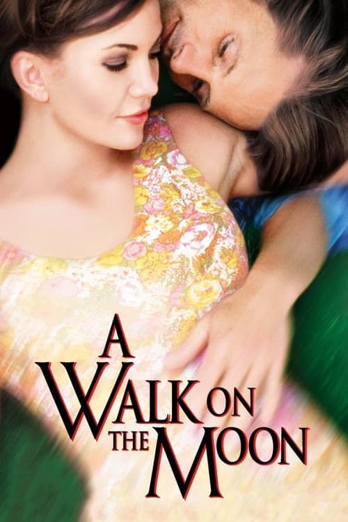 A Walk on the Moon still 6