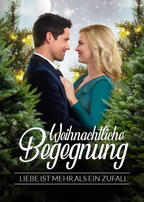 A Godwink Christmas: Meant For Love still 7
